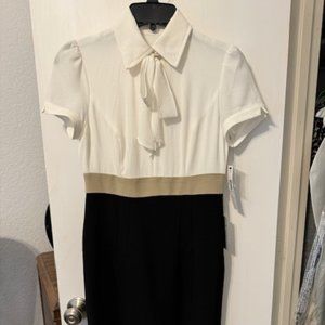 Maggy London Tricolor Sheath Dress Size 2P